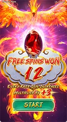 z18 · Phoenix Rises